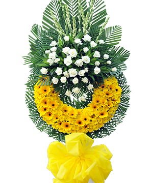 HAI THẾ GIỚI